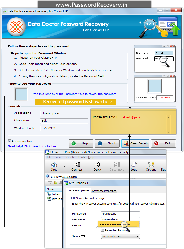 Password Recovery For Classic FTP