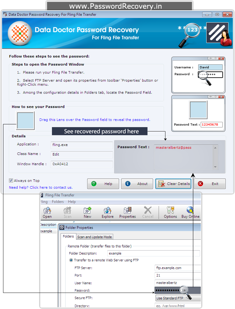 Password Recovery For Fling File Transfer