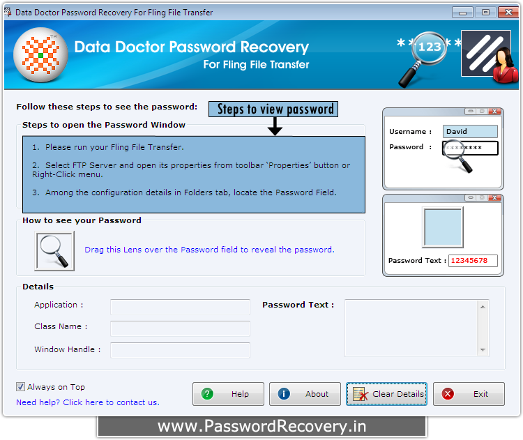 Password Recovery For Fling File Transfer