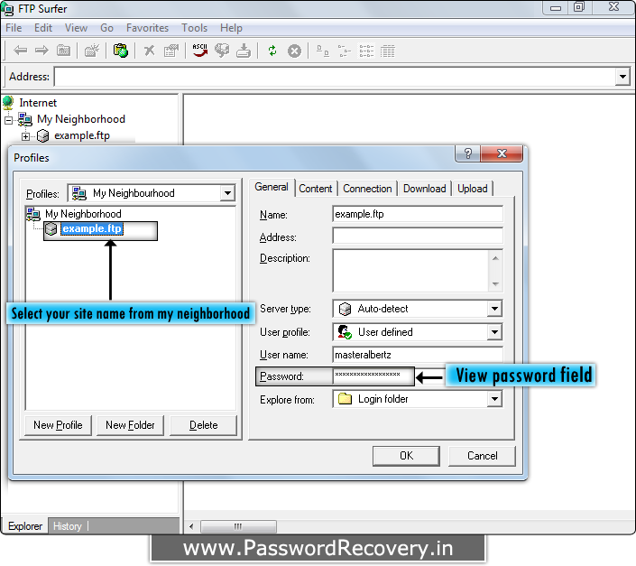 Password Recovery For FTP Surfer