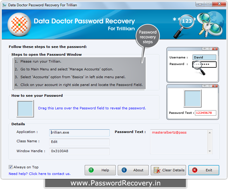 Password Recovery For Trillian Messenger